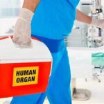 L’Importanza della Donazione Organi e come diventare donatori